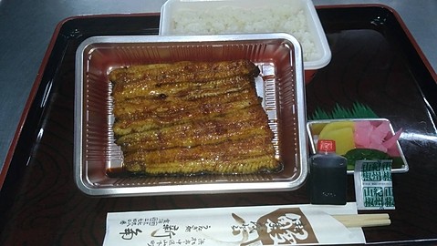 うなぎ蒲焼折弁当（特中）